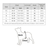 Kuber Industries Reflective Dog Harness with Adjustable Leash|Breathable Polyester Mesh Fabric |Small Size|HT-844|Comfortable No-Pull Grip|Quick Release Buckles|Easy On-Off Harness|Blue (Pack of 2)